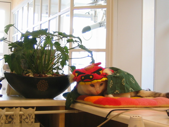 f0150073_12171148.jpg