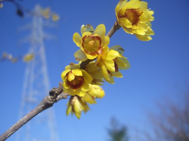 f0137275_5215212.jpg