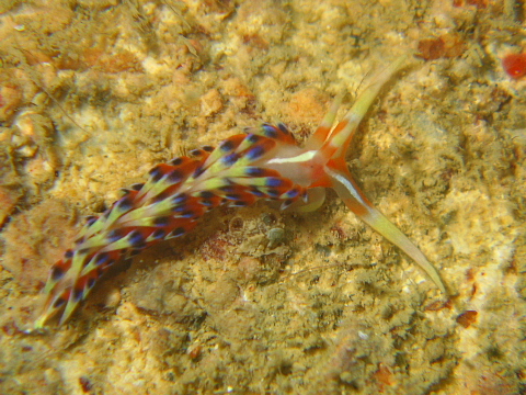 f0080385_20403073.jpg