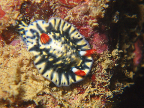 f0080385_20595442.jpg