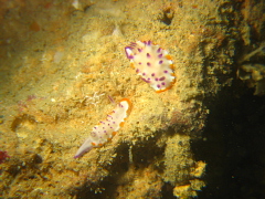 f0080385_21112182.jpg