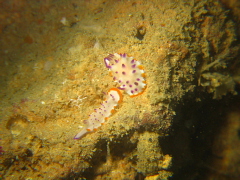 f0080385_211246.jpg
