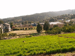 e0112213_2320232.jpg