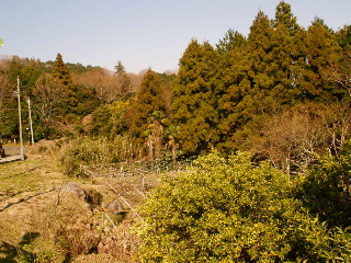 e0112213_2361440.jpg