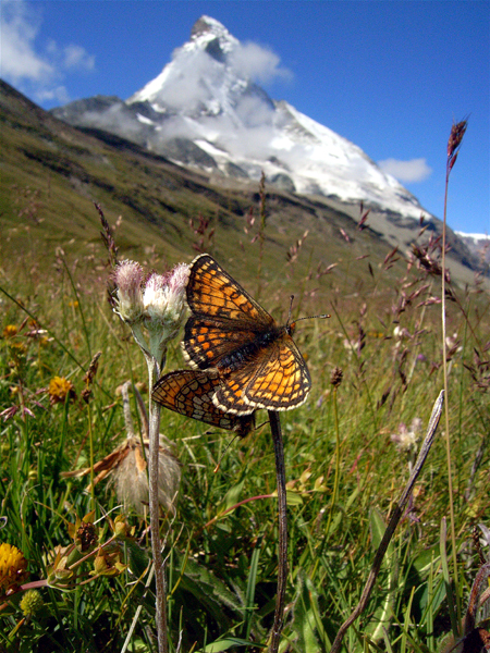 d0054625_15302158.jpg