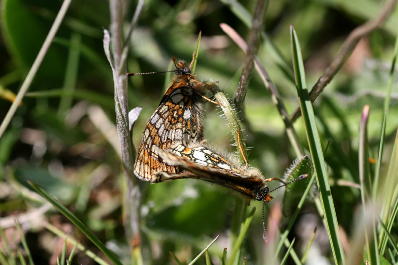 d0054625_15364390.jpg