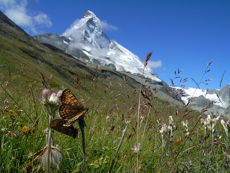 d0054625_15402644.jpg