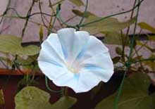 f0147840_23595031.jpg