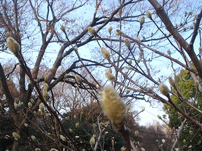 f0087044_02484.jpg