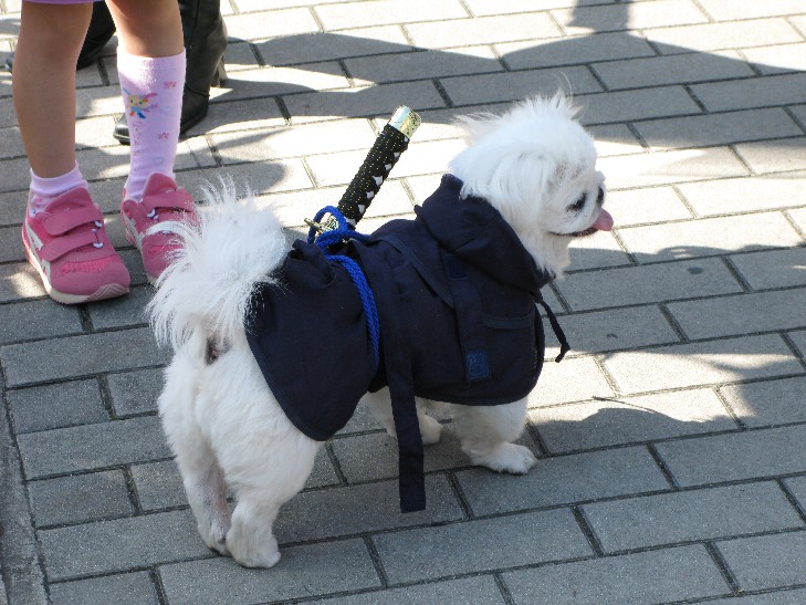 北山通りのハロ~ウィンへ..._f0152550_1621526.jpg