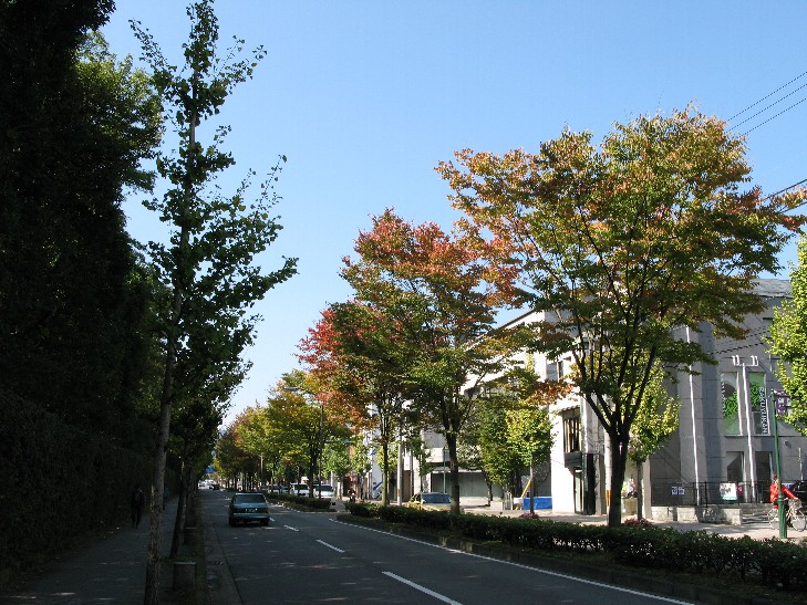北山通りのハロ~ウィンへ..._f0152550_1671484.jpg