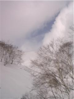 a0098855_23594785.jpg