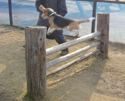 e0007060_21404029.jpg