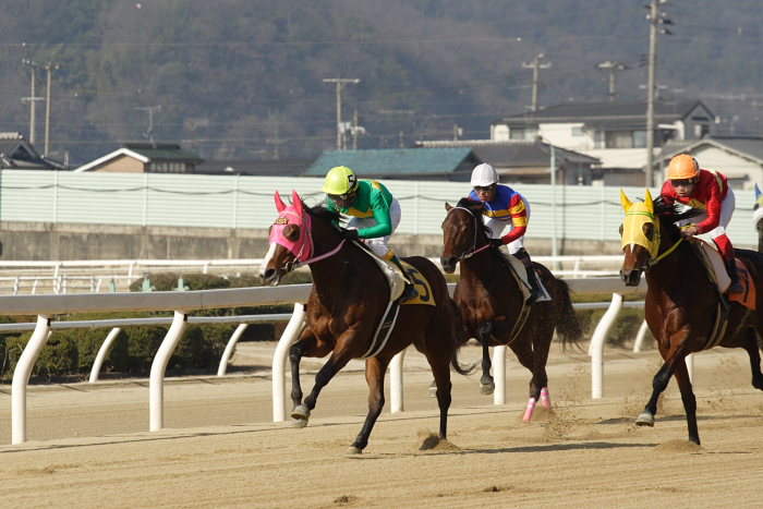 2008年1月6日（日） 福山競馬 2R_a0077663_8374170.jpg