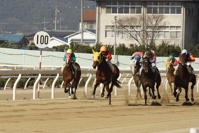 2008年1月6日（日） 福山競馬 2R_a0077663_8375118.jpg