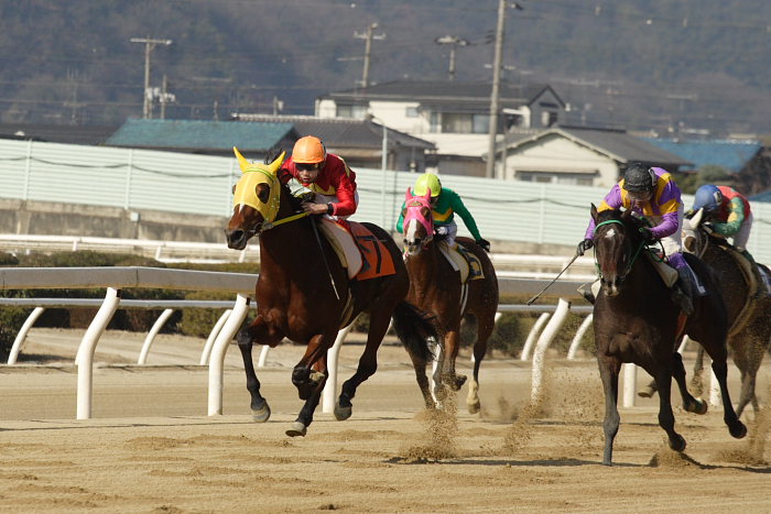 2008年1月6日(日) 福山競馬 2R_a0077663_838159.jpg