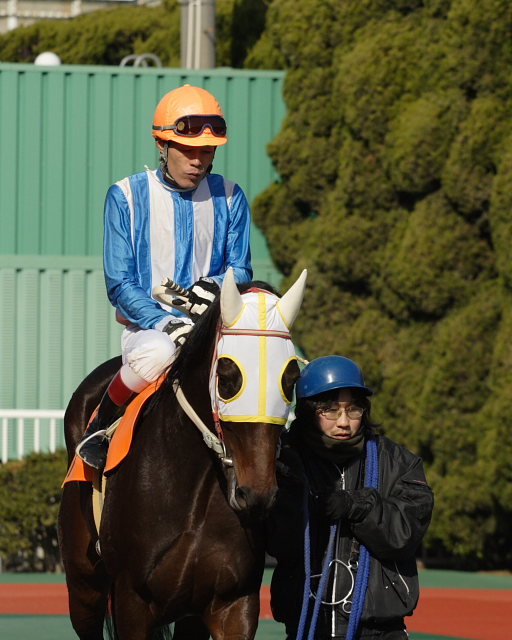 2008年1月6日(日) 福山競馬 3R_a0077663_8505346.jpg