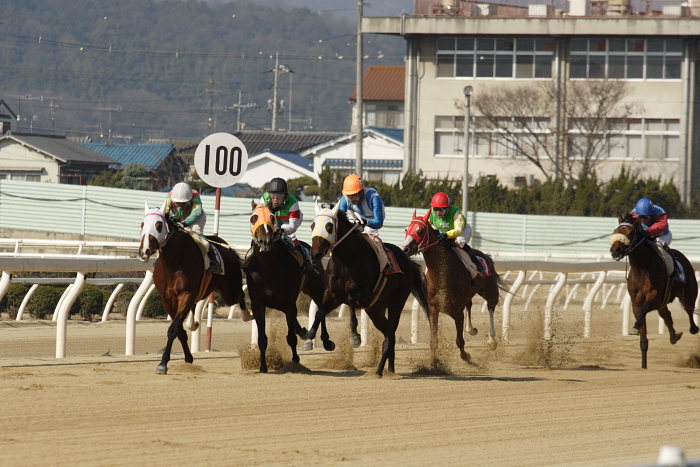 2008年1月6日（日） 福山競馬 3R_a0077663_8511870.jpg
