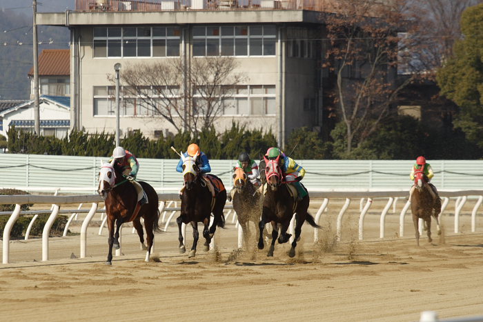 2008年1月6日（日） 福山競馬 3R_a0077663_8512882.jpg