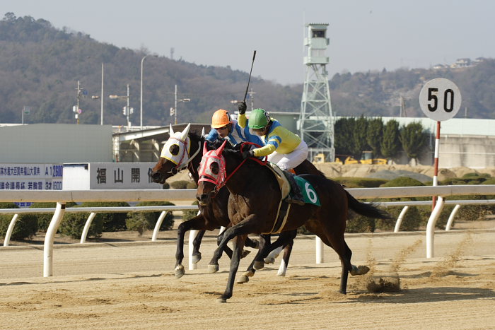 2008年1月6日（日） 福山競馬 3R_a0077663_851385.jpg