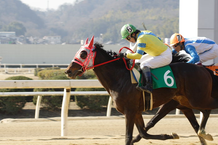 2008年1月6日(日) 福山競馬 3R_a0077663_8514640.jpg