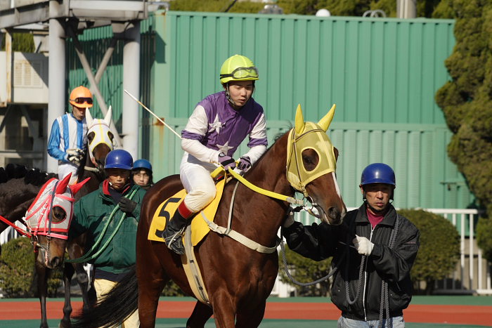 2008年1月6日(日) 福山競馬 3R_a0077663_851621.jpg