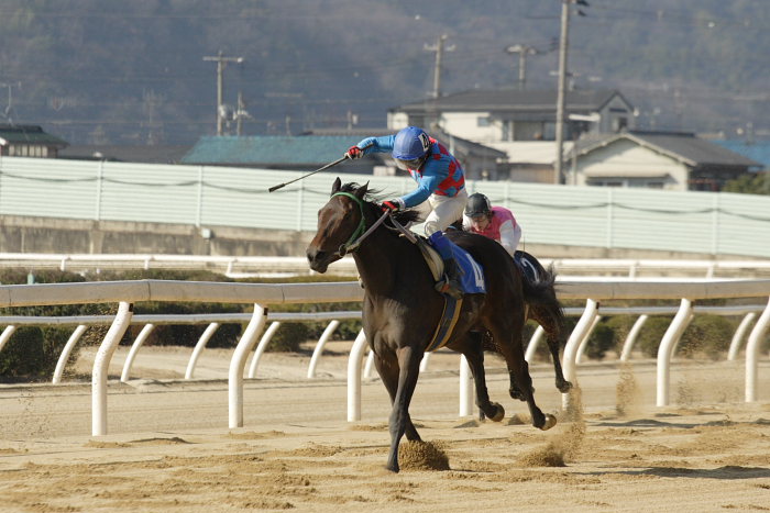 2008年1月6日(日) 福山競馬 5R_a0077663_932362.jpg