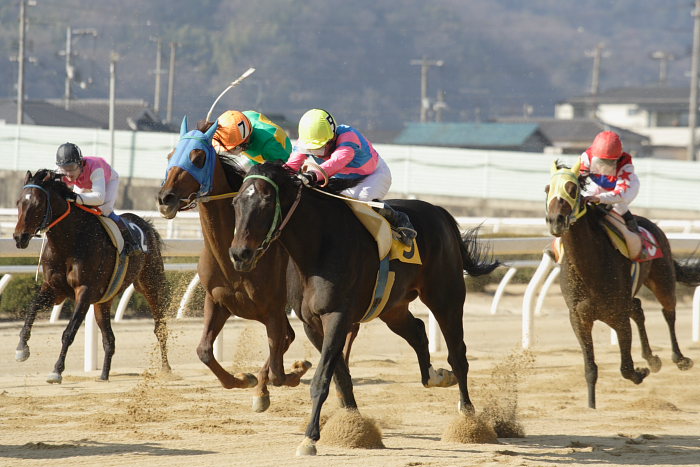 2008年1月6日(日) 福山競馬 5R_a0077663_934564.jpg