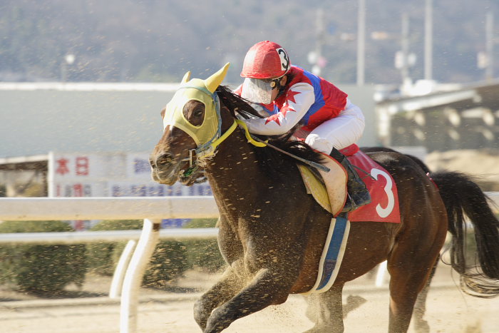 2008年1月6日(日) 福山競馬 5R_a0077663_935525.jpg