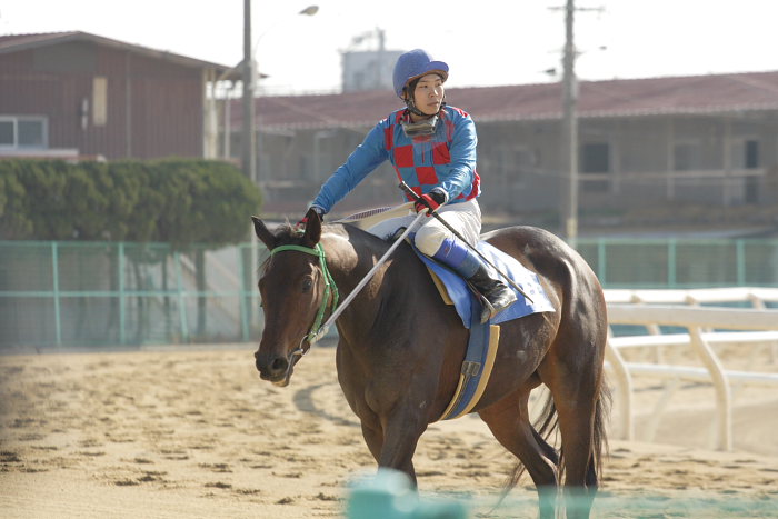 2008年1月6日(日) 福山競馬 5R_a0077663_94796.jpg