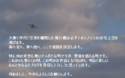 ご近所は日々好日　　　　　　　　　　　　　　　　２００８年１月１４日_d0083265_2154145.jpg