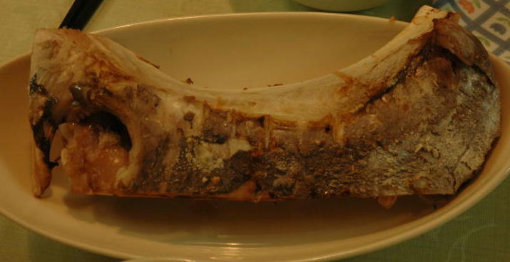 c0075585_035545.jpg