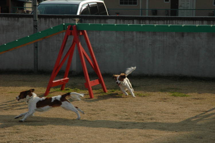 c0075585_083030.jpg