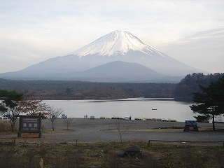 2008年 明けましておめでとう_f0019487_2334691.jpg