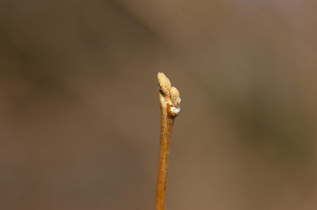 e0070891_18135290.jpg