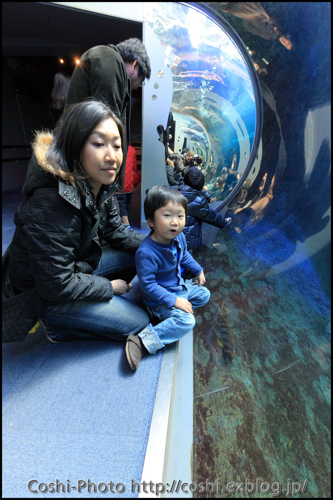 今更ですが新江ノ島水族館にて・前編・・・・16-35LII_a0110096_13382150.jpg