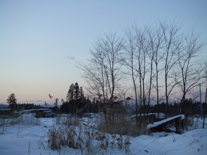 d0085096_22173492.jpg