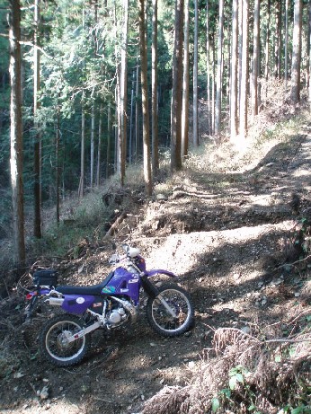 e0118908_20274251.jpg
