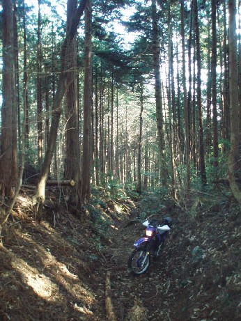 e0118908_202915.jpg