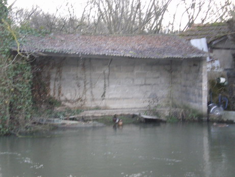 c0124619_6254061.jpg