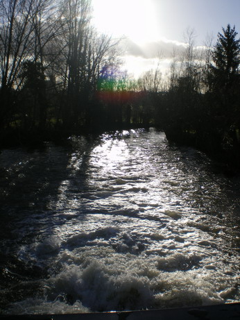 c0124619_626467.jpg