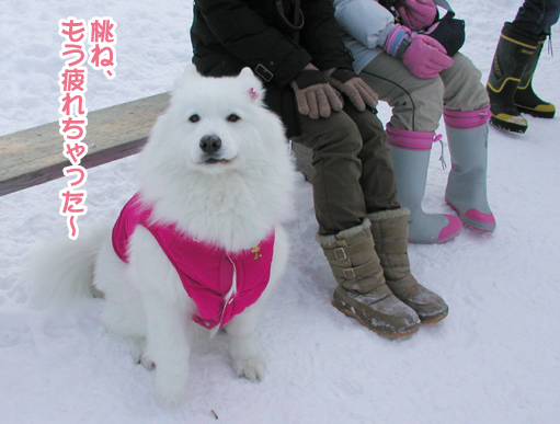 石川さんin札幌_a0044521_2312326.jpg