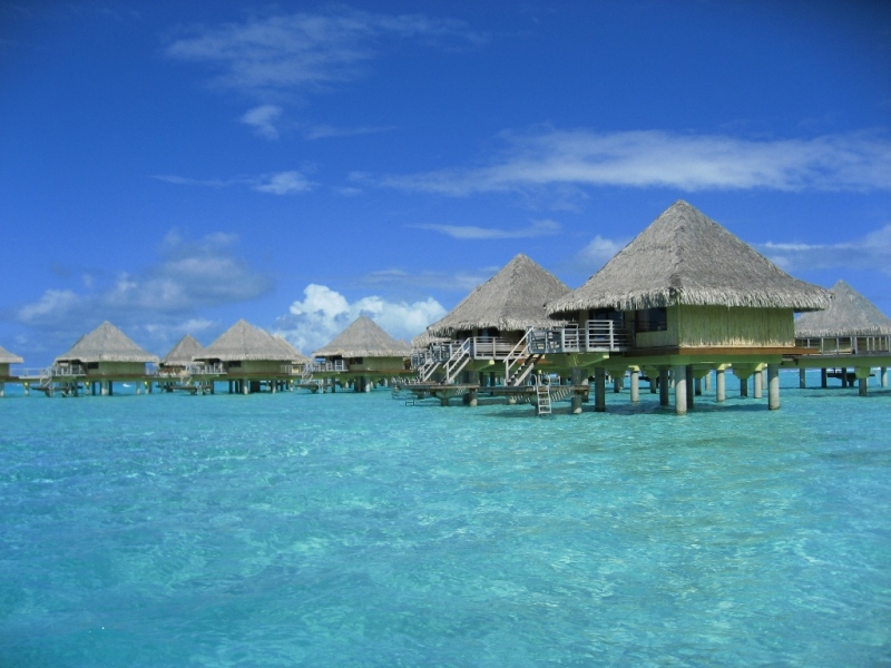 d0048328_0254988.jpg