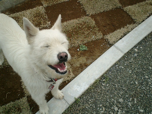 c0123029_05033.jpg