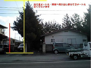 f0031037_14302266.jpg