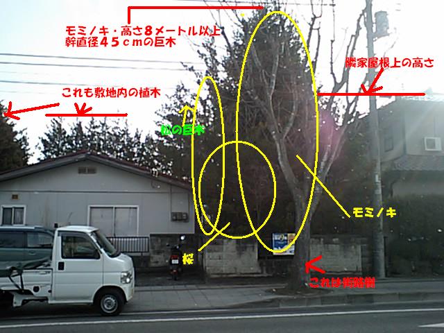 f0031037_14305869.jpg