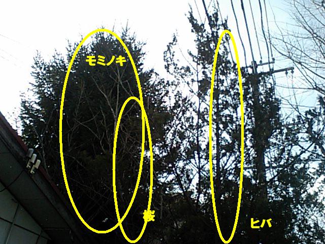 f0031037_14314840.jpg
