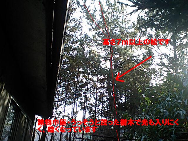 f0031037_1432945.jpg