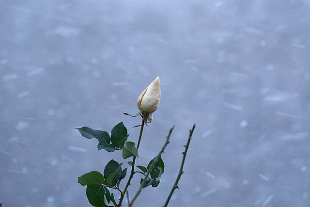 c0067040_2285896.jpg