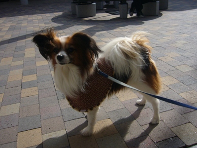 e0100046_2144523.jpg